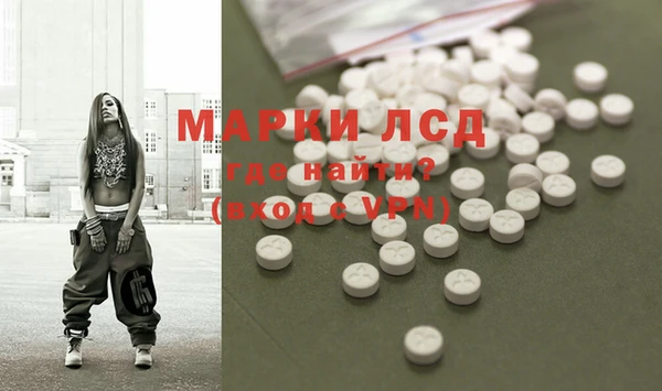 дмт Алзамай