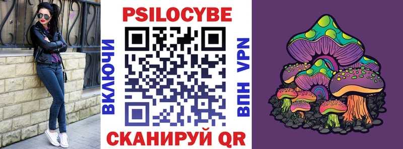 Псилоцибиновые грибы Psilocybe  KRAKEN зеркало  Аткарск  цены  